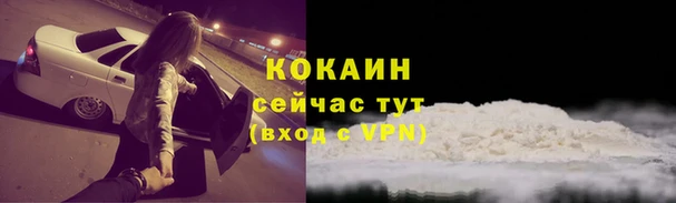 стаф Зеленодольск