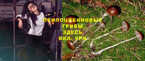 стаф Зеленодольск