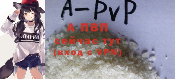 стаф Зеленодольск