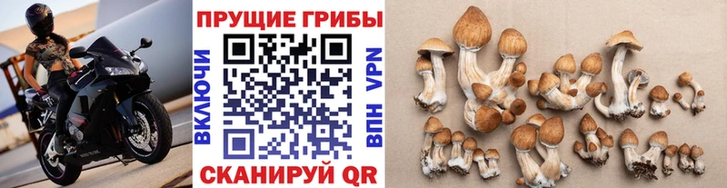 Купить закладки  Талица  Галлюциногенные грибы ЛСД 